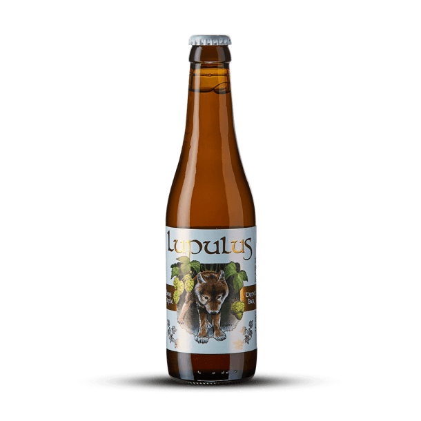 LUPULUS